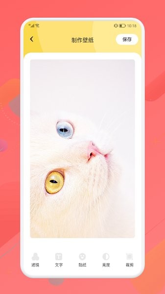 星空主题壁纸app v1.2 安卓版1