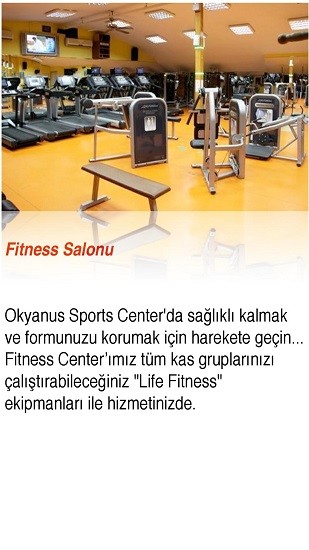 okyanus词典免费版 v1.0.2 安卓版3