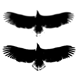 photo compare 安卓下载