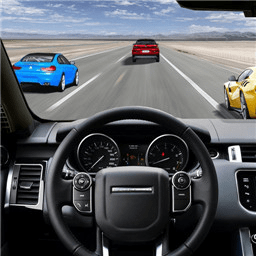 单机狂野赛车手游下载