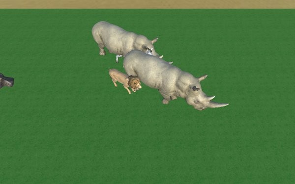 zhsl召唤神龙3d版 v1.0 安卓版0