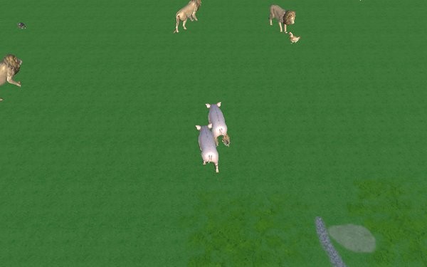 zhsl召唤神龙3d版 v1.0 安卓版3