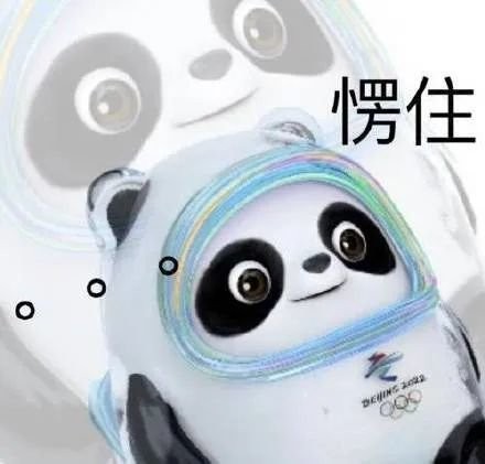 雪容融冰墩墩表情包 高清图片版2