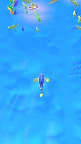 召唤神兽进化游戏 v1.1.8 安卓版0