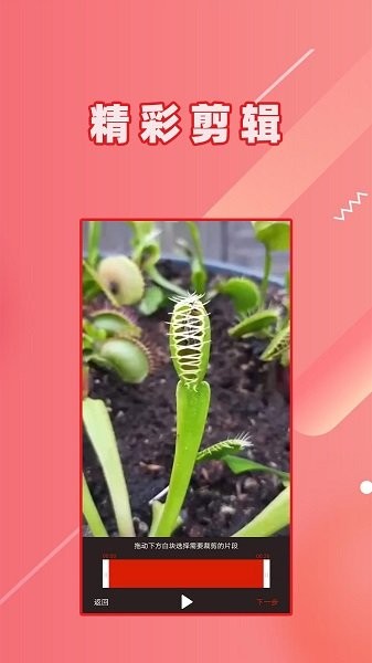 视频倒放软件 v1.1.7 安卓版3