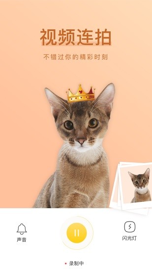 萌仔相机-宠物相机 v3.0.0 安卓版0