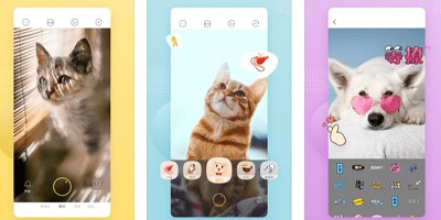 宠物相机app
