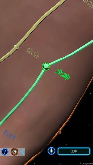 化身小铜人软件 v1.0.51 安卓版2