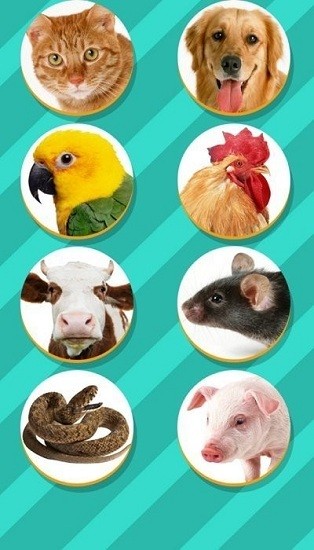 pet translator宠物对话翻译器 v1.1 安卓中文版2