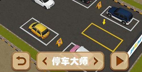 停车大师