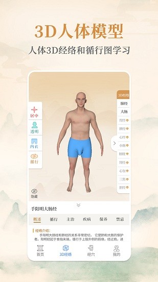 经络穴位大全 v1.0 安卓版3