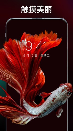 灵猫主题壁纸 v1.0.2 安卓版0