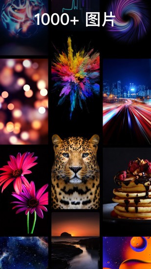灵猫主题壁纸 v1.0.2 安卓版1