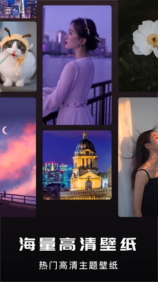 咸鱼壁纸之王 v1.2 安卓版2