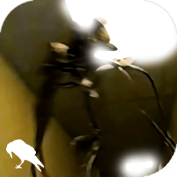 backrooms游戏下载