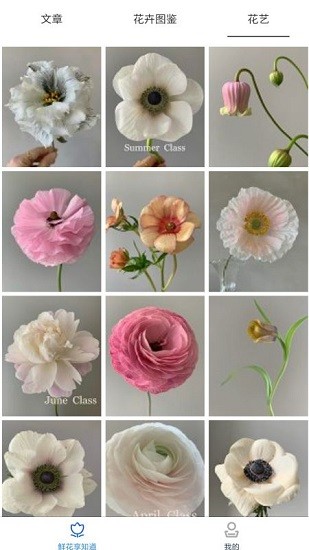 鲜花知识星球 v1.0 安卓版3