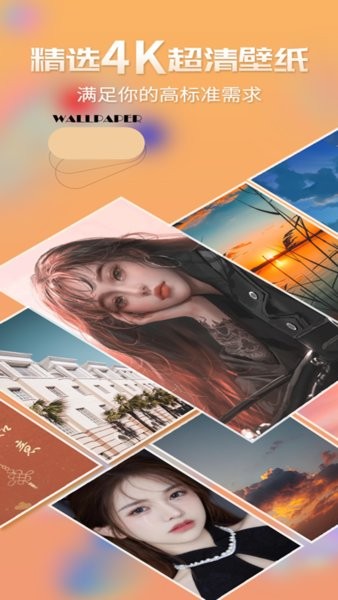 超高清壁纸大师手机版 v19.1 安卓版2