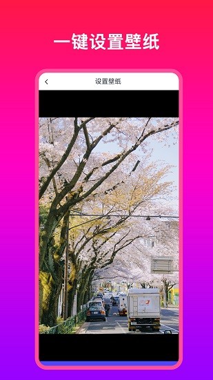 多多壁纸大全 v1.0.1 安卓版0