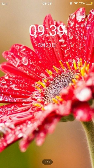 轻甜心壁纸 v1.0.3 安卓版0