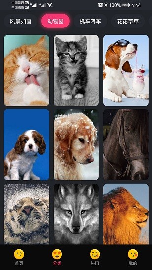 轻甜心壁纸 v1.0.3 安卓版3