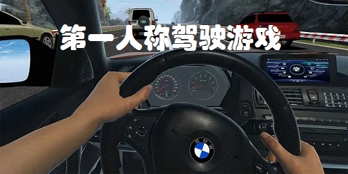 第一人称驾驶游戏