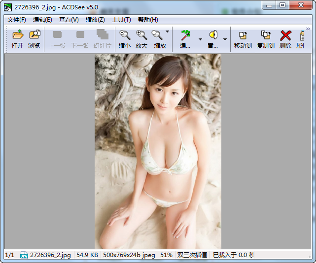 ACDSee工具 v5.0.1.1006 汉化精简注册版0