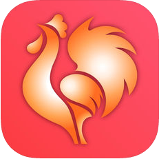 大公鸡排列五奖表手机版