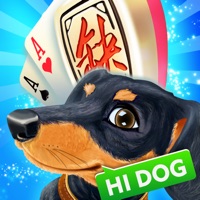 哈狗三缺一义乌版