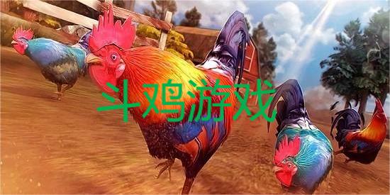斗鸡手游
