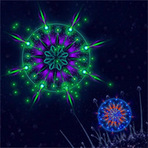 微生物进化世界中文版