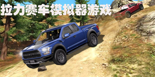 拉力赛车模拟器