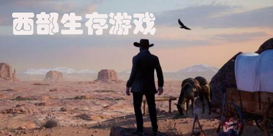 西部生存游戏
