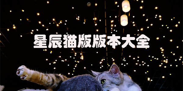 星辰猫