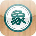 中国象棋大师2010
