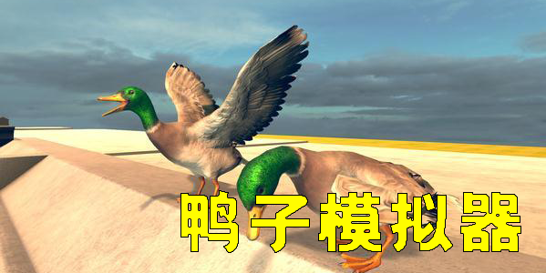 鸭子模拟器