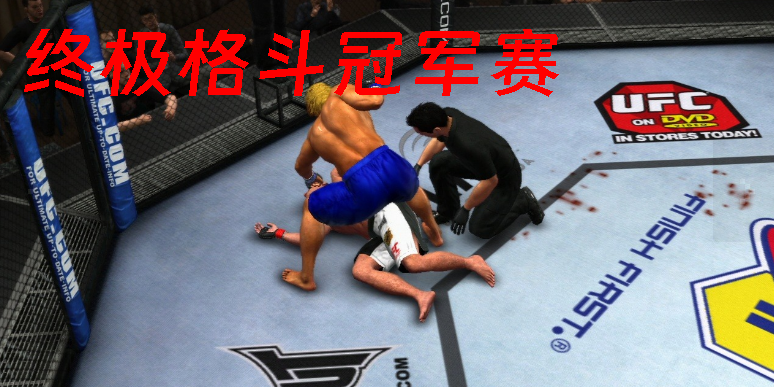 终极格斗冠军赛