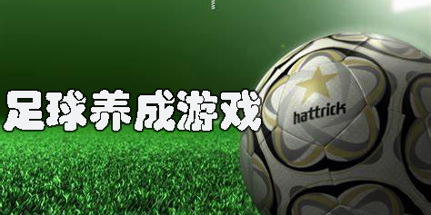 足球养成游戏