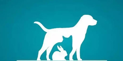 买宠物平台有哪些？买宠物app推荐-买宠物软件合集