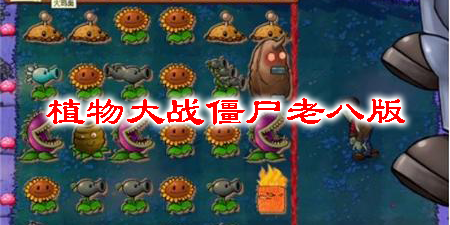 植物大战僵尸老八版