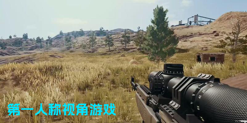 第一人称视角游戏