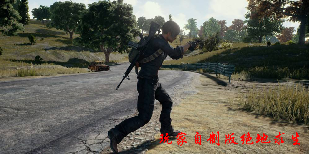 玩家自制版绝地求生