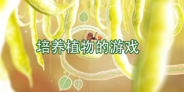 培养植物的游戏