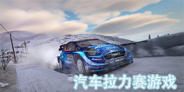 汽车拉力赛游戏