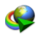 Internet Download Manager(下载工具)