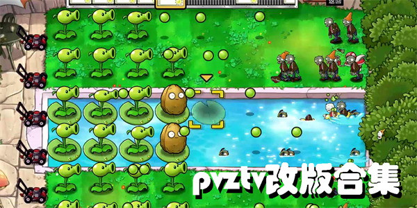 pvztv改版合集-pvztv改版大全