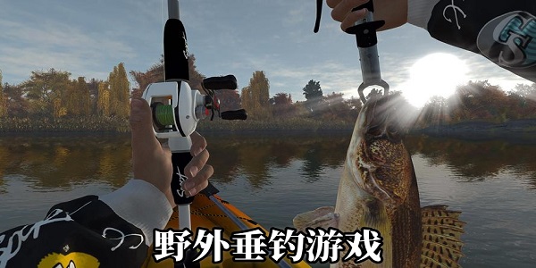 野外垂钓游戏有哪些-野外垂钓游戏手机版