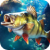 杰瑞米瓦德钓鱼大师