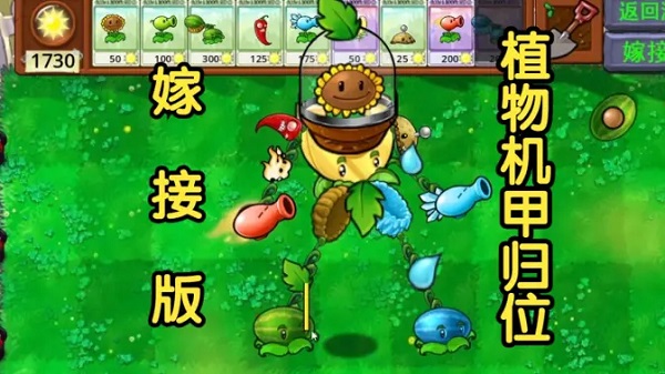 植物大战僵尸嫁接版