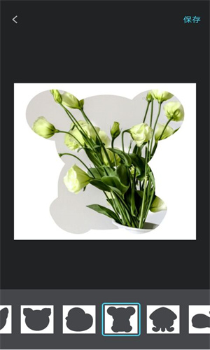 宠物日常记录 v1.0.0 安卓版1