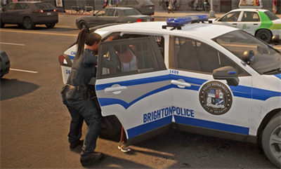 边境警察巡逻模拟器 v1.1 安卓版0